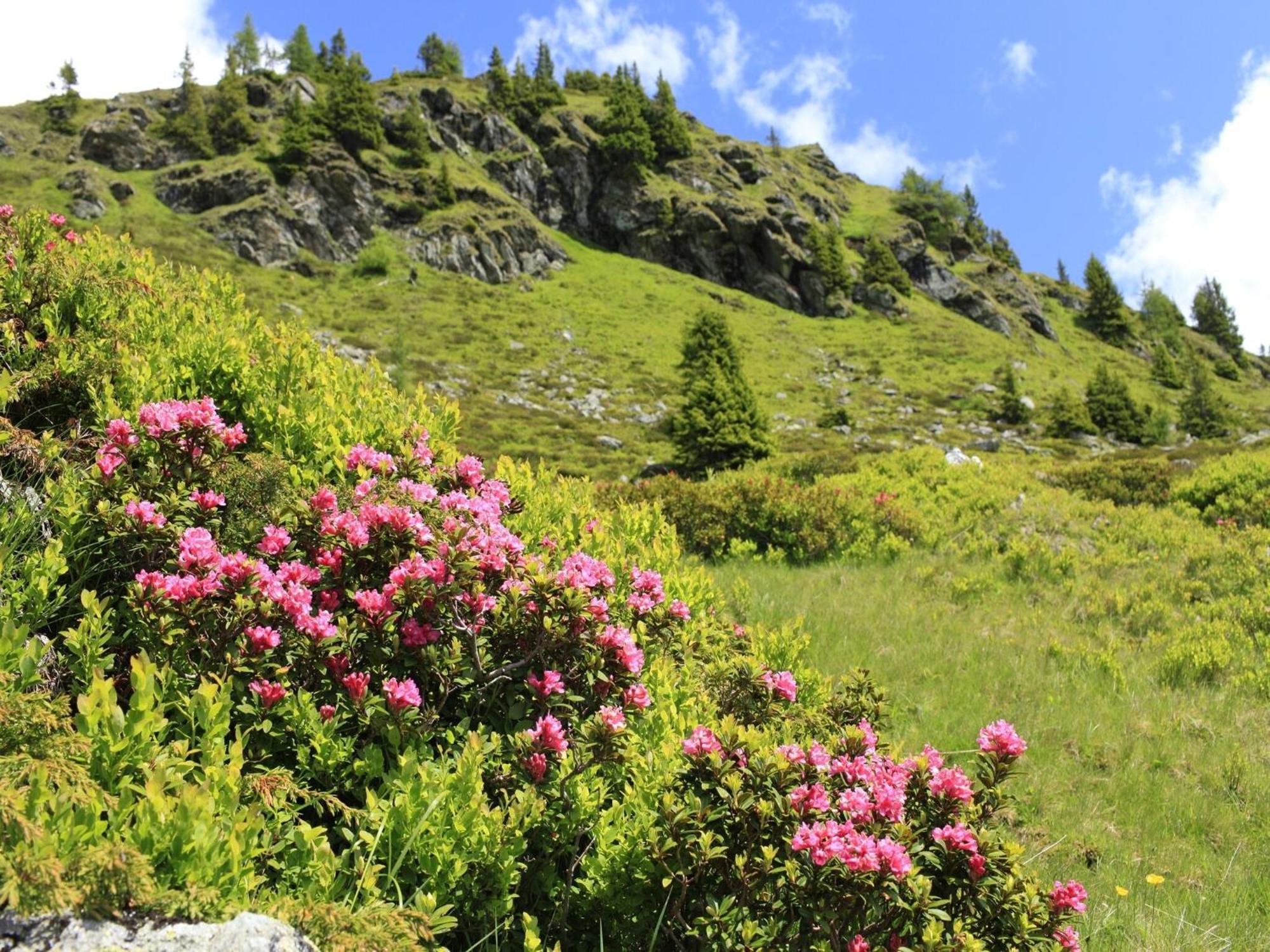 Spacious In Katschberg *
